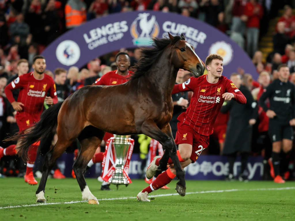 龄限制的可 龄限制的可